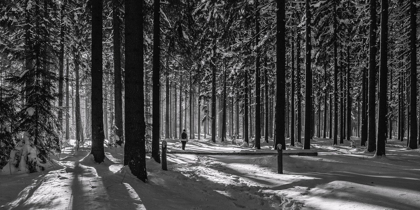 20170121-_DSC5773-Edit