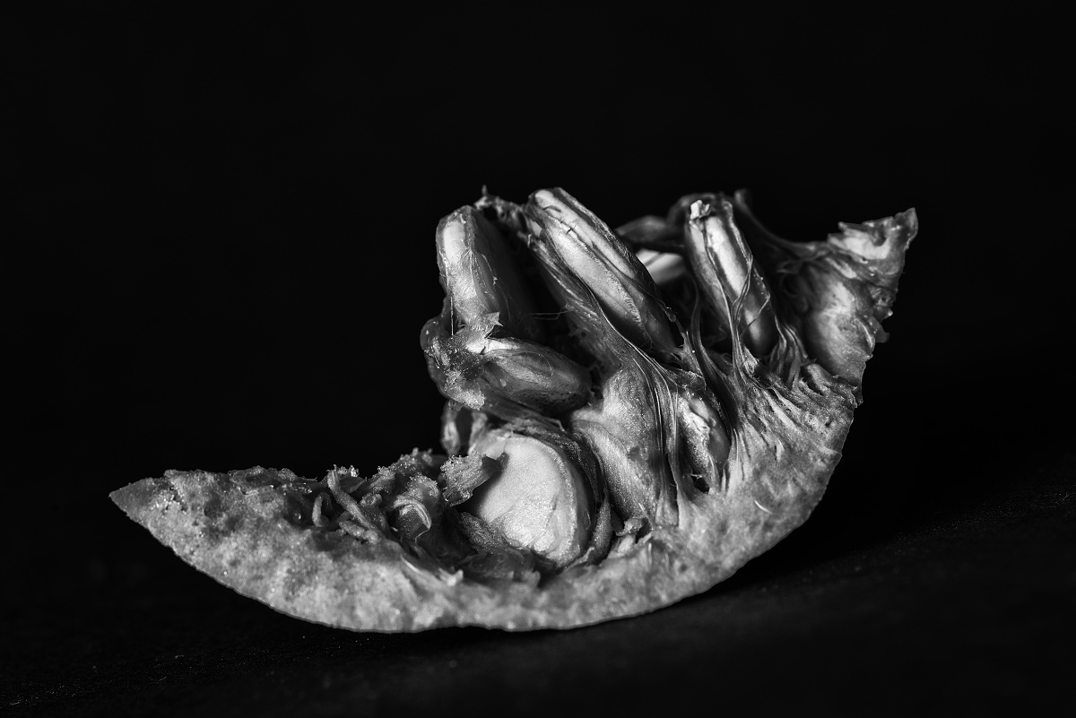 20180901-20180901-_DSC9090-Edit