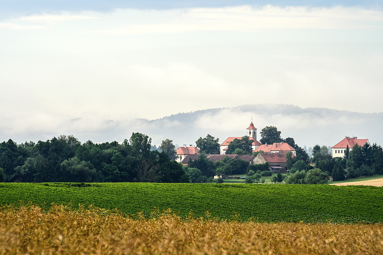 20250713-_DSC7712