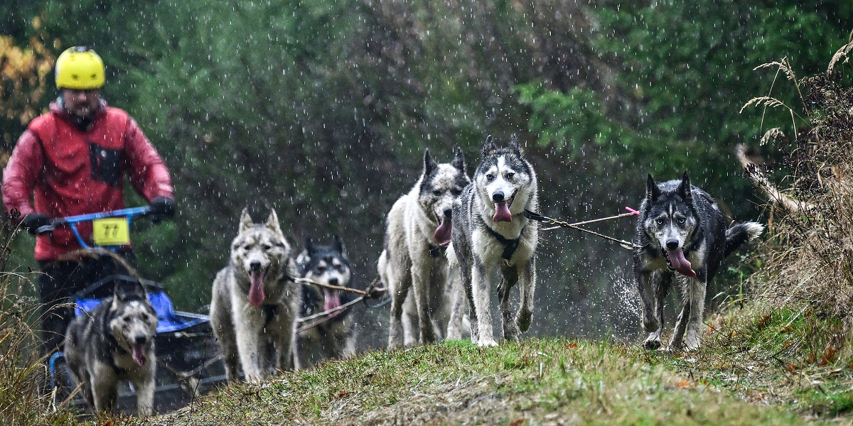 20251102-_DSC0113 (2)